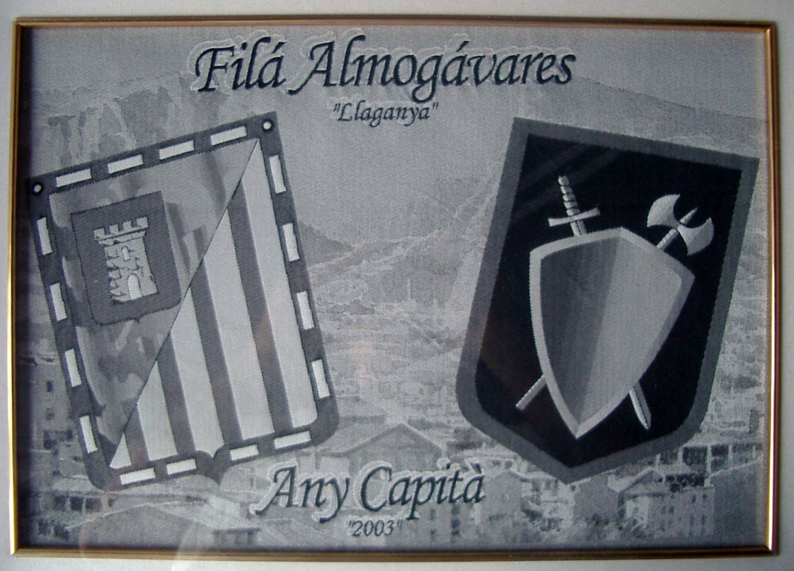 IMGP3448
