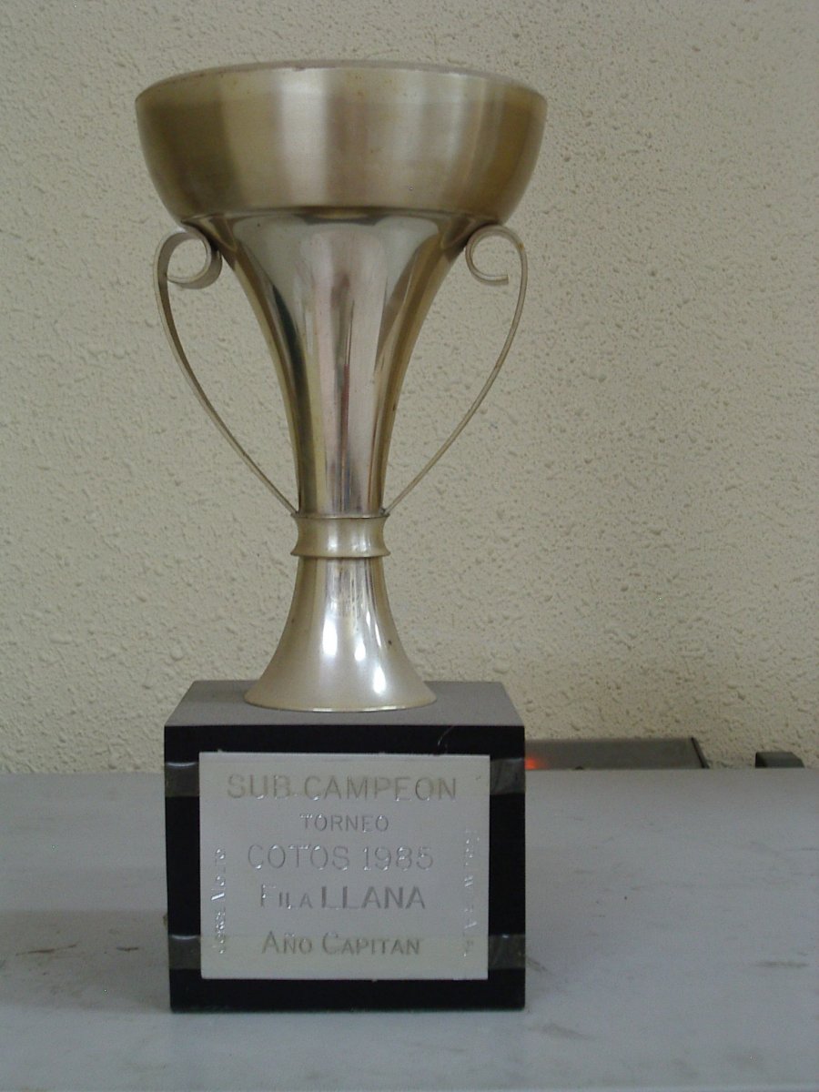 sucampeon cotos 1985