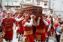 Dia dels Trons 1979