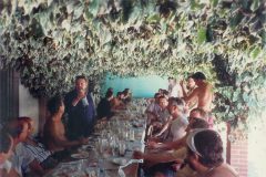 Diná 1990