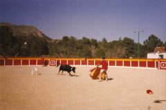 Diná 1998