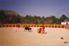 1comidaBenidomrToreo 1998