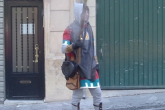 IMGP4247
