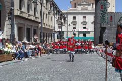 IMGP5962