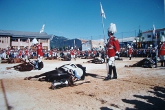 IMGP3434