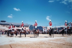 IMGP3435