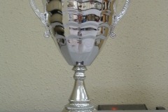 sucampeon alevin 2005